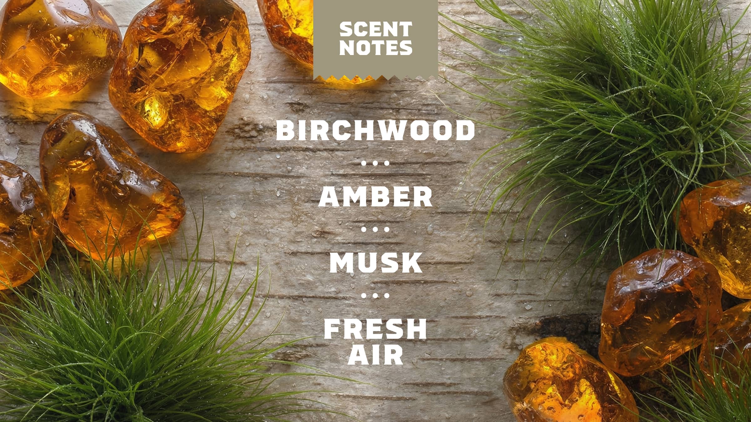 Birchwood Breeze Deodorant - Image 4