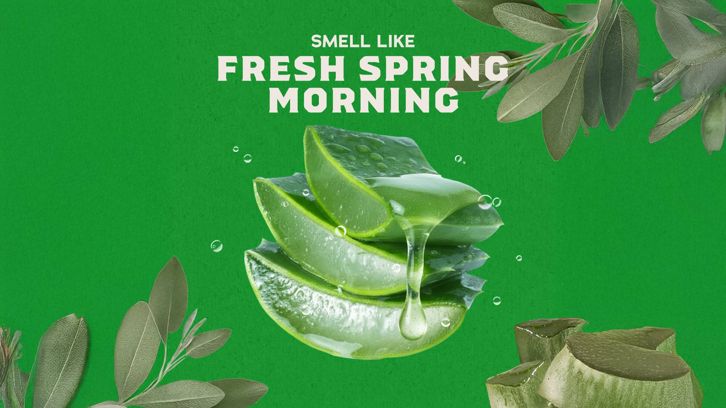 Cool Fresh Aloe - Image 3