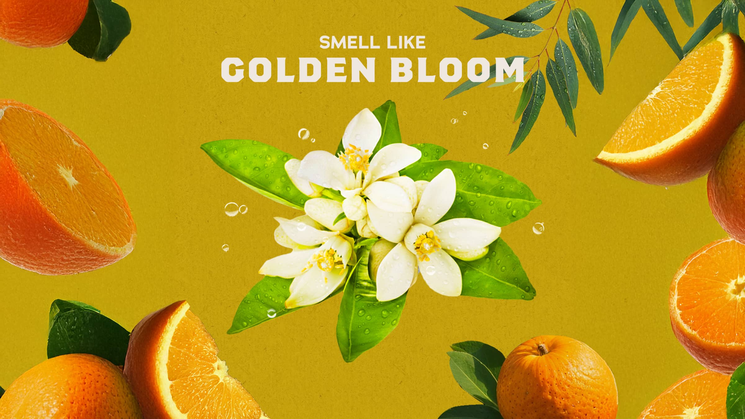 Mountain Meadow Invisible Glide Deodorant - Image 3