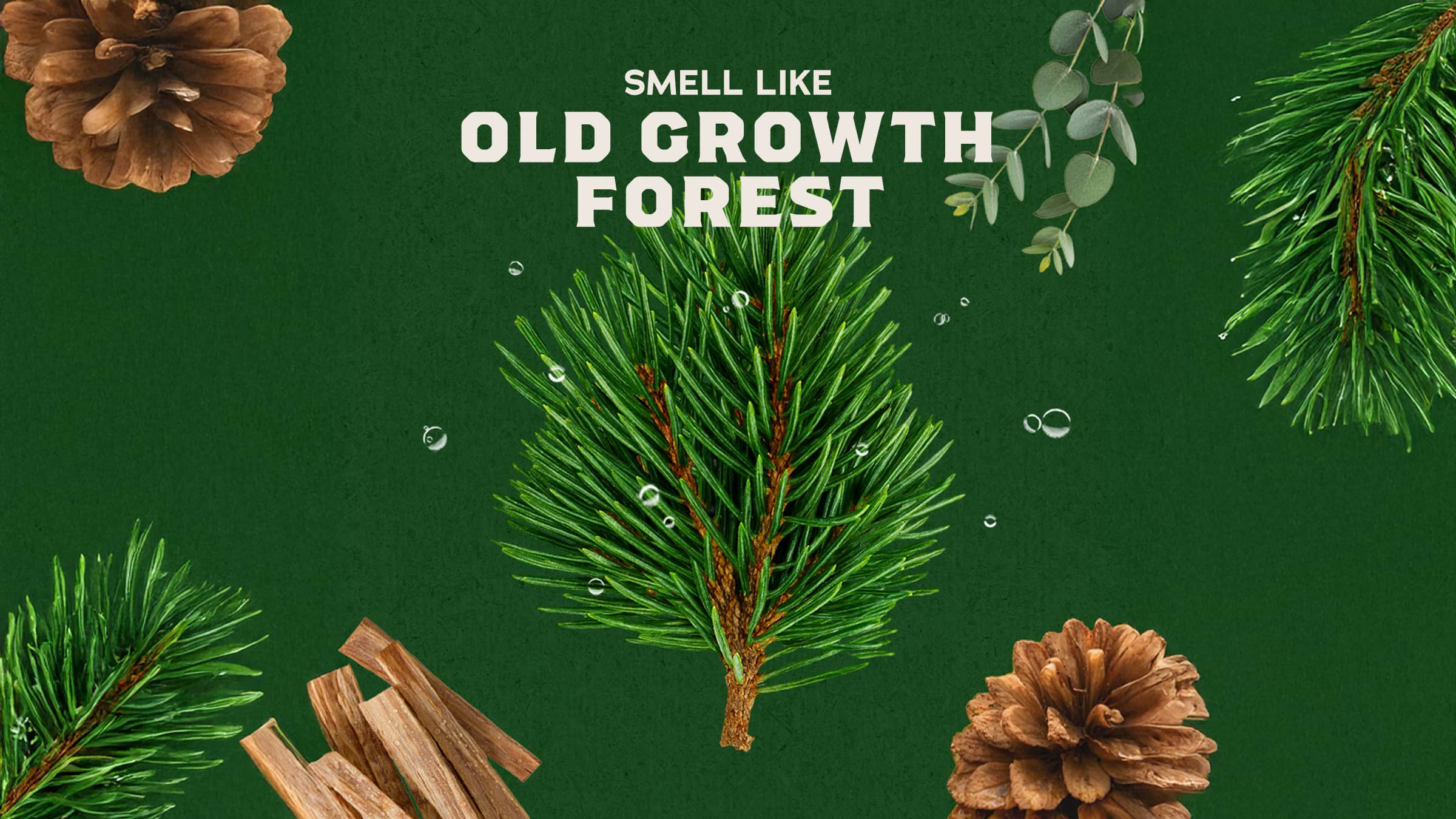 Easy Glide Shave Butter Pine Tar - Image 3