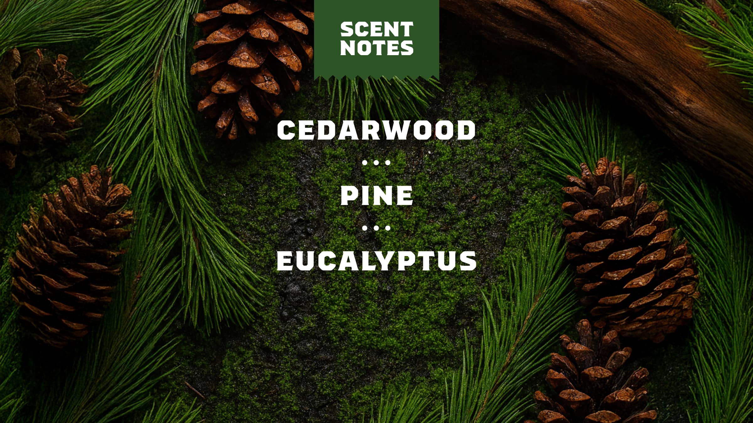Easy Glide Shave Butter Pine Tar - Image 4