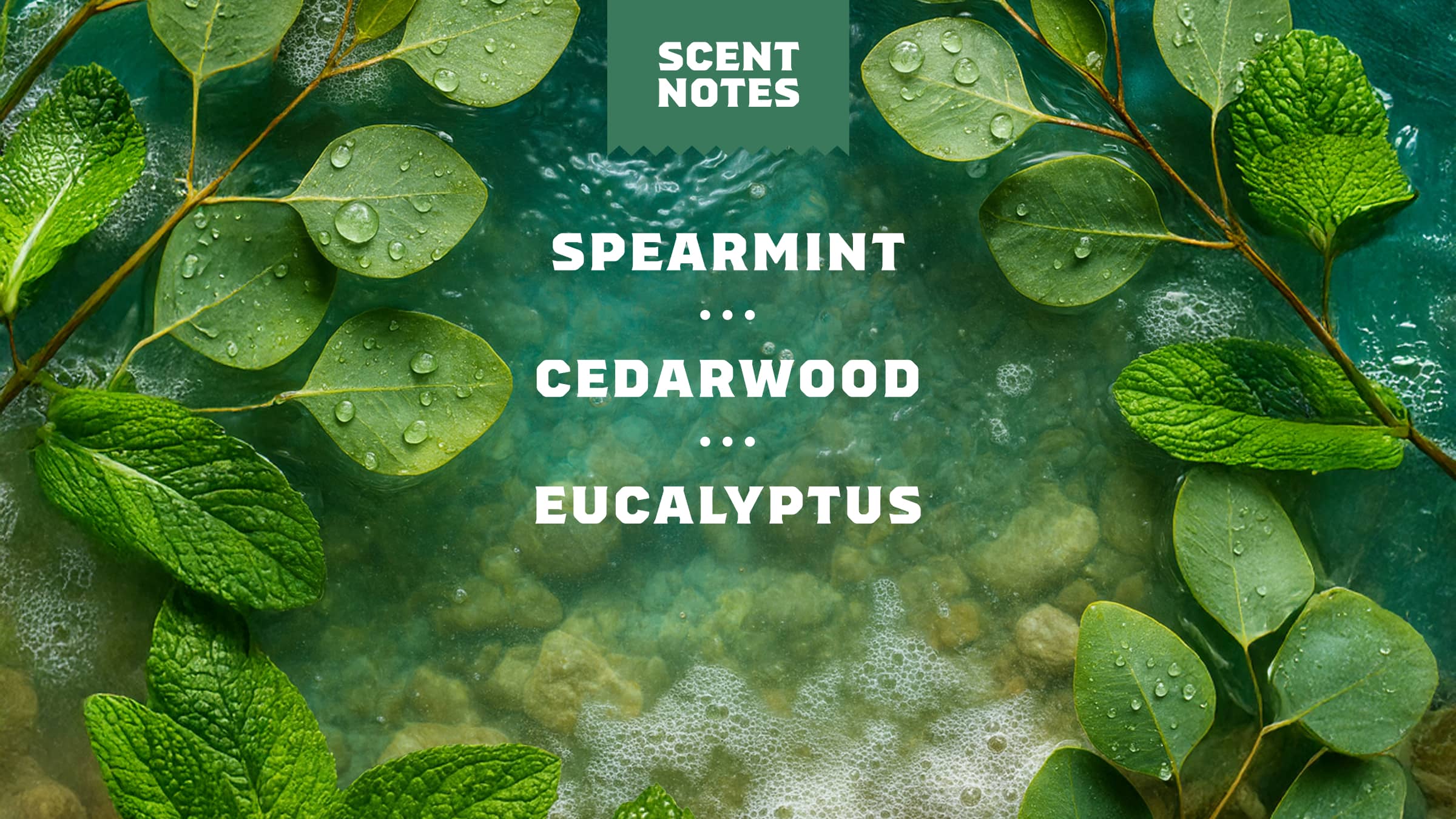Rainforest Rapids Deodorant - Image 4